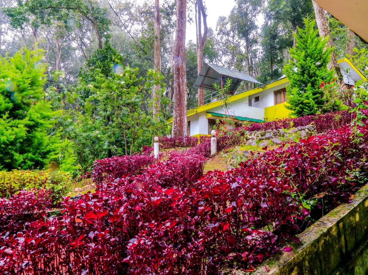 Oyo 4651 Woodpecker Resort Munnar Dış mekan fotoğraf