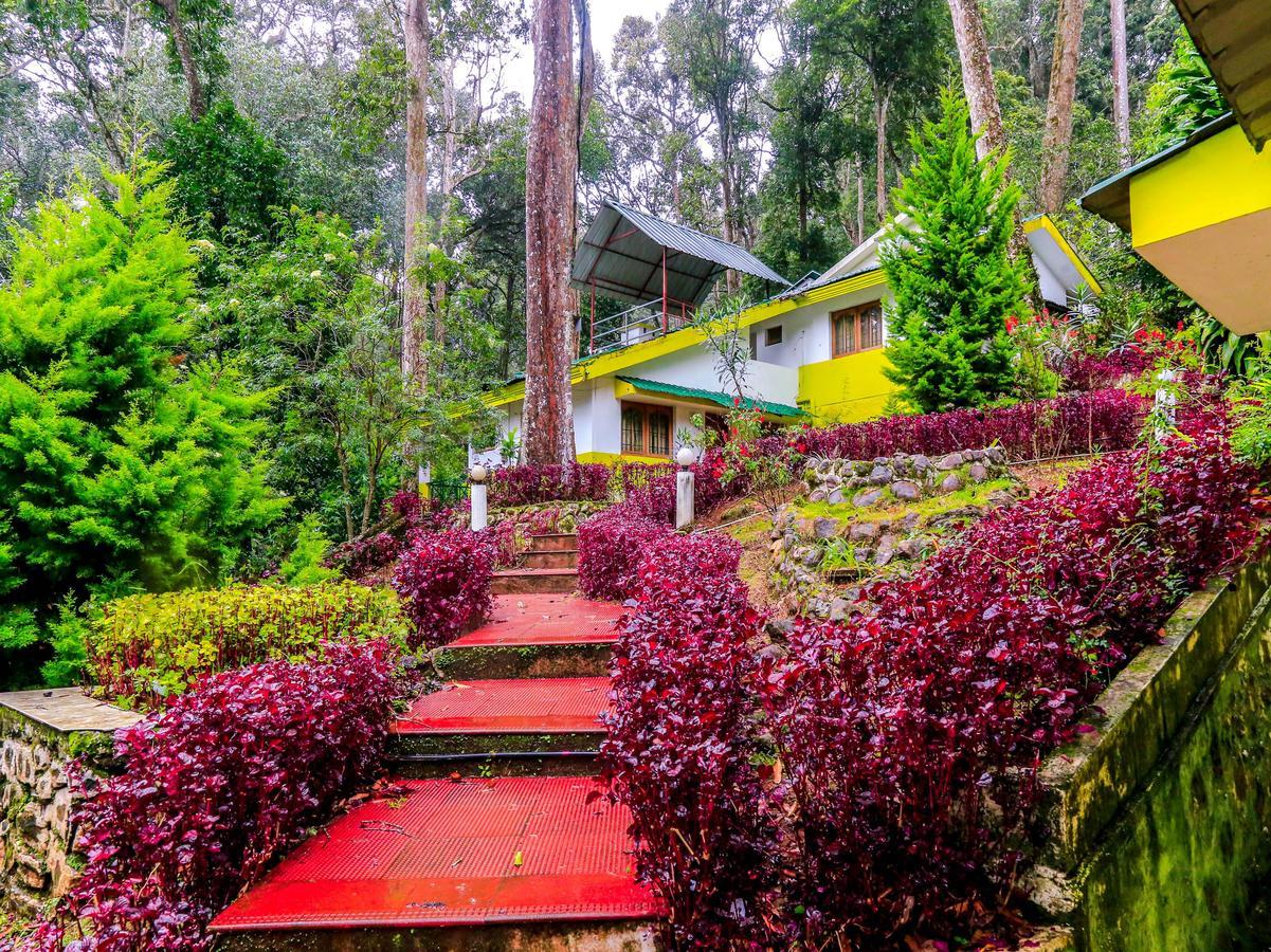 Oyo 4651 Woodpecker Resort Munnar Dış mekan fotoğraf